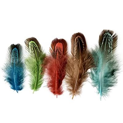 Natural Pheasant Plumage Feathers Hair Feathers Dreamcatcher