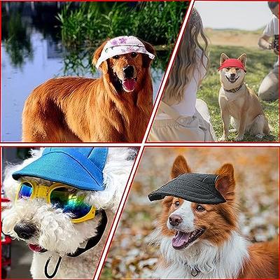 Cute Pet Hat with Ear Holes, Adjustable Drawstring,Dog Hat Sun Visor UV  Protection Outdoor,Duck Hat for Small Medium Large Dogs, Baseball Cap  Perfect for Dog Cat Birthday Accessory, All Season - Yahoo