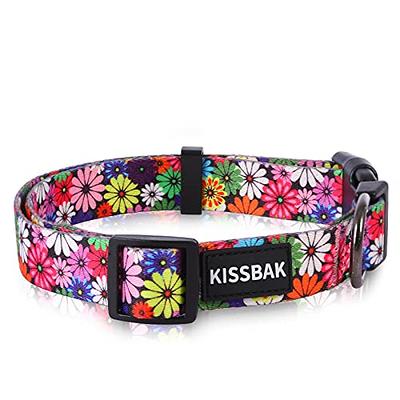 Dog Collar with Flower for Girl Dog,Puppy Collars Cute Girl Dog Collars  with Safety Metal Buckle Adjustable Floral Pattern Dog Collar for Puppy  Small