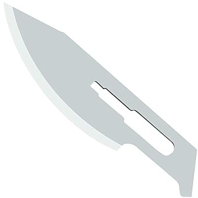 10 sharp carbon steel scalpel blades for biology dissection.