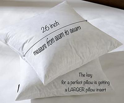 Throw Pillow Inserts Set of Insert White Forms Soft Microfiber 2 18 X 18  Inches