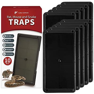 Catchmaster Baited Mouse Glue Traps - 4 pack