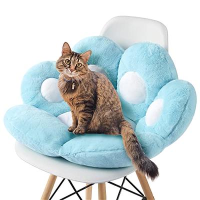  Ditucu Cat Paw Cushion Kawaii Dragon Fruit Chair Cushions 27.5  x 23.6 inch Cute Stuff Seat Pad Comfy Lazy Sofa Office Floor Pillow for Gaming  Chairs Room Decor Red : Everything Else