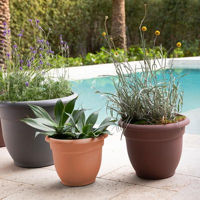 Bloem Terra Pot 6-inch Living Green Planter - Bed Bath & Beyond