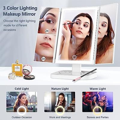  Fancii LED Lighted Large Vanity Makeup Mirror with 10X  Magnifying Mirror - Dimmable Natural Light, Touch Screen, Dual Power,  Adjustable Stand with Cosmetic Organizer - Gala