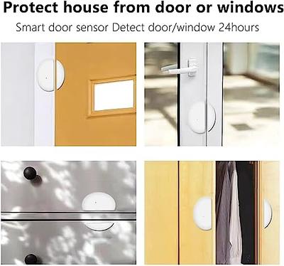 Window Alarms & Door Sensor