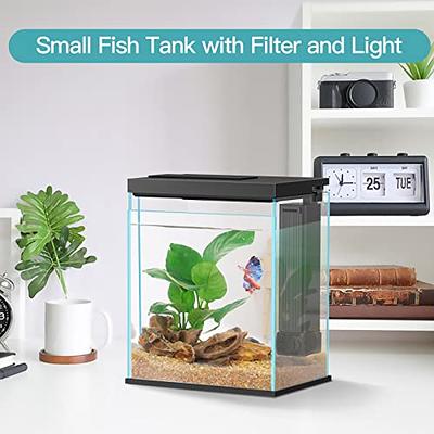 Betta Fish Tank, 2 Gallon Glass Aquarium Starter Kit, Small Fish Tank with  Filter and Light.(Black) - Yahoo Shopping