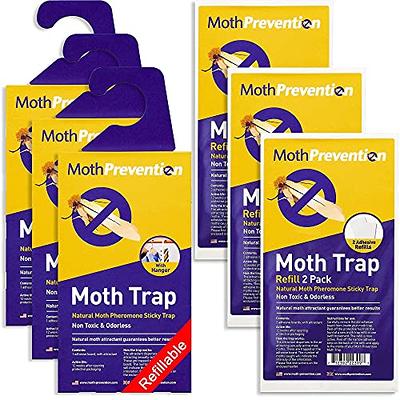 Moth Traps for Clothes Closets Moths, 16 Pack Clothes Moth Traps with  Pheromo
