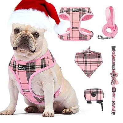 SlowTon No Pull Small Dog Harness and Leash Set, Puppy Soft Vest Harness  Neck & Chest Adjustable, Reflective Lightweight Harness & Anti-Twist Pet  Lead