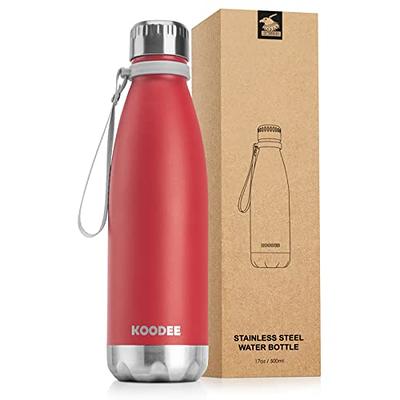 Visol Marina Double Wall 16 oz Water Bottle - Pink