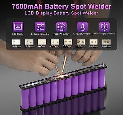 Deluxe Hard Aluminum 200 Battery Storage Organizer case with tester, Safe  Fireproof Batteries container holder caddy box with handheld checker, hold