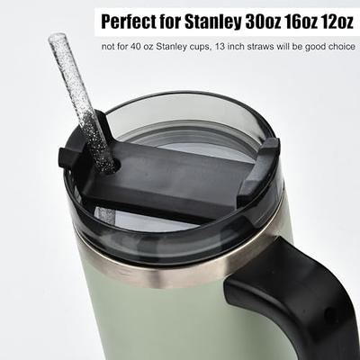 Reusable Clear Plastic Glitter Straws, Long Hard Tumbler