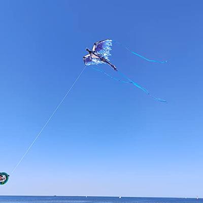 Kites for Kids Kites for The Beach Beginner Kite with Kite String and Kite  Reel for Kids Adults, Rainbow Fan-Shaped Kite with Tail, Perfect for Beach