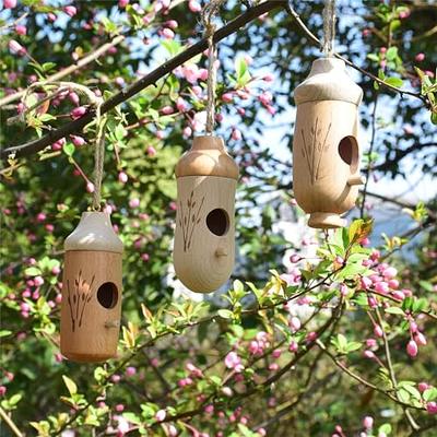 hummingbird nest box