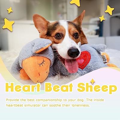 ALL FOR PAWS New Puppy Starter Kit,Heartbeat Dog Toy for toysPuppy,Dog  Behavioral Sleep Aid Puppy Toys,Puppy Heartbeat Stuffed Animal,Dog Anxiety  Relief - Yahoo Shopping