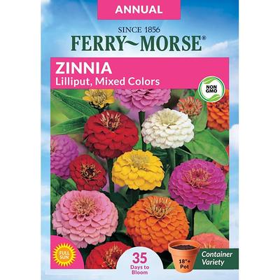 Zinnia Flower Seed Packs