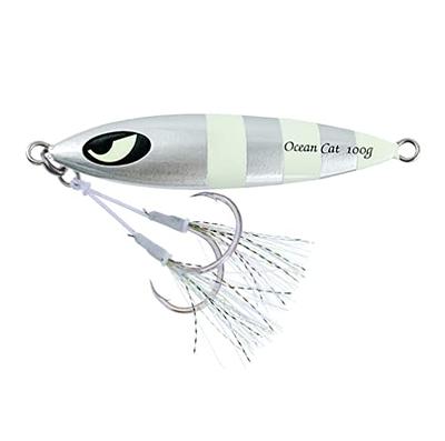 OCEAN CAT 1 PC Slow Fall Pitch Fishing Lures Sinking Lead Metal Flat Jigs  Jigging Baits with Hook for Saltwater Fishing 100G/150G/200G/250G (60g,  Silver) - Yahoo Shopping