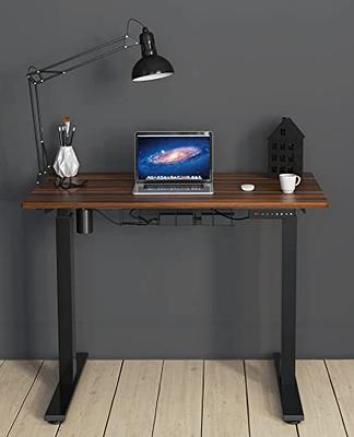 LACOO 55 in. White Electric Standing Desk Height Adjustable Wooden