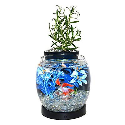Elive Betta Fish Bowl / Betta Fish Tank with Planter, Small 0.75 Gallon  Aquarium, LED Light Timer, Black - Yahoo Shopping