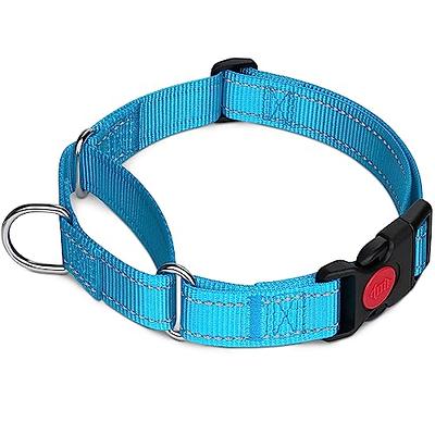 Strong Dog Collar  Reflective Dog Collar