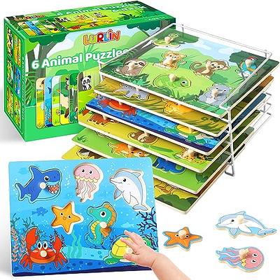 Wooden Puzzles for Toddlers 1-3, 6 Pack Peg Puzzles with Wire Puzzle Holder  Rack for Kids, Learning Educational Puzzles for Baby Puzzles 12-18 Months  (Numbers) - Yahoo Shopping