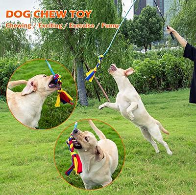 AmaCielo Flirt Pole for Dogs, Interactive Toys Tug-of-war for Dogs, Durable  Teaser Wand, Chase Toys with Rope Chewing Sticks, for Outdoor Exercise 