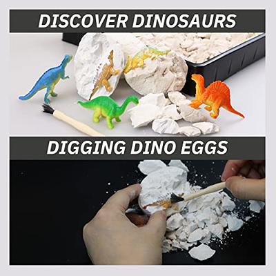 Dig a Dozen Dino Eggs Dig Kit Archaeology Science STEM 