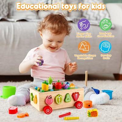  Toddlers Montessori Toys for 1 2 3 Year Old, Wooden Educational  Shape Sorting Toys Gifts for Kids 2-4 Girl Boy Baby, Preschool Learning  Fine Motor Skills Game, Carrot Harvest Toddler Toys