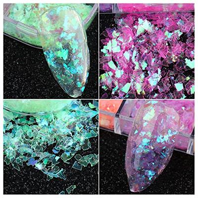 Molisaka 12 Jar Chunky Glitter for Nails, Multiple Color Holographic  Glitter Nail Sequins, Iridescent Nail Glitter Flakes for Nail Art  Decorations