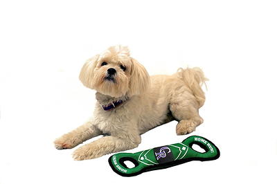 Official Colorado Rockies Pet Gear, Rockies Collars, Leashes, Chew Toys