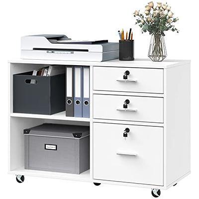 Jamie Storage Cabinet Gray - Buylateral