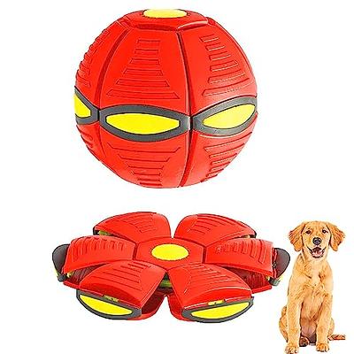 Evan Dog Toy Balls, 5 Inch Treat Tricky Ball Food Dispensing Toys Tricky  Fun Interactive Dog