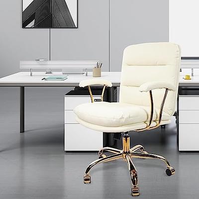 KLASIKA Ergonomic Home Office Desk Chair with Armrests and Casters