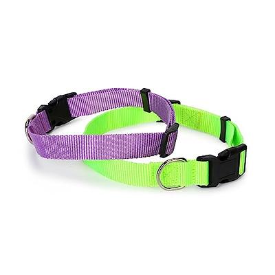 Martingale Dog Collar, Adjustable for Small, Medium, Large pet and