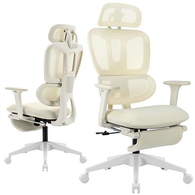 LACOO Office White Mid Back Swivel Lumbar Support Desk, Computer Ergonomic  Mesh Chair with Armrest T-OCNC750WT - The Home Depot