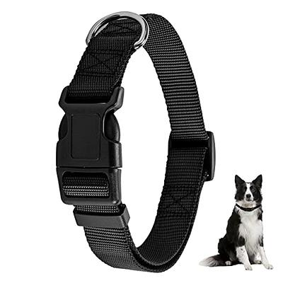 Martingale Dog Collar, Adjustable for Small, Medium, Large pet and