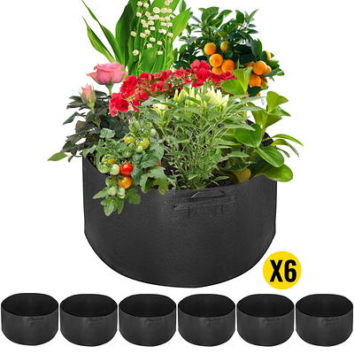  50 Pack 10 Gallon Plant Grow Bags, Breathable Felt Non-Woven  Aeration Fabric Plant Grow Pots, Garden Planting Containers for Nursery  Vegetable Flower Grow Bags with Handles (15.7x11.8inch) : Patio, Lawn