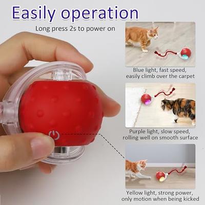 Giociv Interactive Cat Toys Ball for Indoor Cats Fast Rolling on Carpet,  Chirping & Motion Activate Cat Toys (Red) - Yahoo Shopping