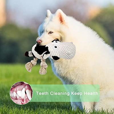 YYDSFEIOU Stuffed Dog Toys for Medium Dogs, Interactive Squeaky Dog Toys  Chew Toy Durable Plush Dog