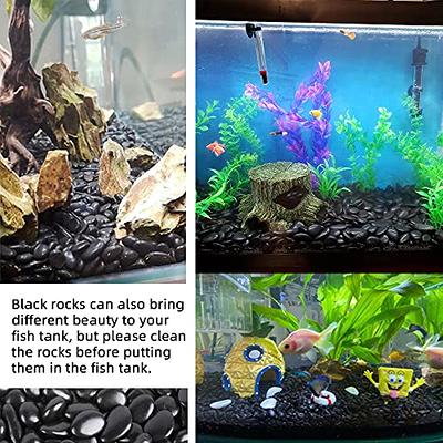 Unocho seiryu Stone Aquarium Rock 22 LB Aquarium Rocks 3 to 10 inch Fish  Tank Decor Rocks for Aquariums Landscaping Model Tank Decoration Aquarium