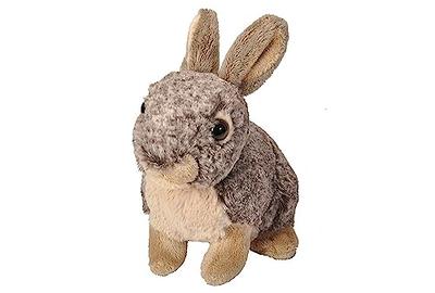  IMC Toys Peekapets Peek-A-Boo Bunny White Plush - Stuffed  Animal, Plush Doll - Great Gift for Kids Ages 1-3 : Toys & Games