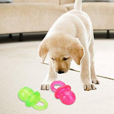 Dog Chew Training Toys