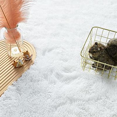 Andecor Soft Fluffy Bedroom Rugs, 4 x 6 Feet Indoor Shaggy Plush Area Rug for Boys Girls Kids Baby College Dorm Living Room Home Decor Floor Carpet