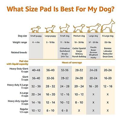 Basics Dog and Puppy Pee Pads with 5-Layer Leak-Proof Design and  Quick-Dry Surface for Potty Training, Regular, 22 x 22 Inch, Scented - Pack  of 50 - Yahoo Shopping