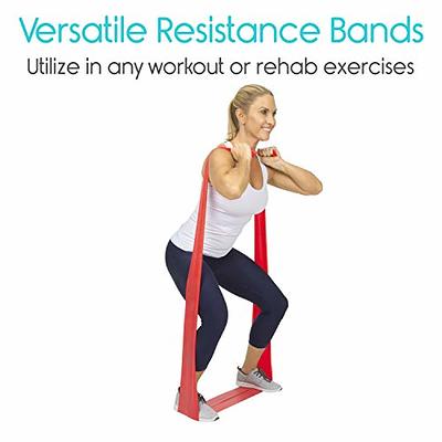 TheraBand Resistance Bands Set, Professional Non-Latex Elastic Band For  Upper & Lower Body Exercise, Strength Training without Weights, Physical  Therapy, & Pilates, Silver & Blue & Black, Advanced : : Sports 