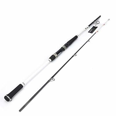 Fiblink Surf Spinning Fishing Rod 2-piece Graphite Travel Fisher