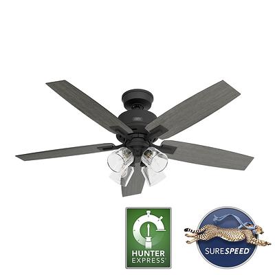 Hunter Gatlinburg Ceiling Fan W Led