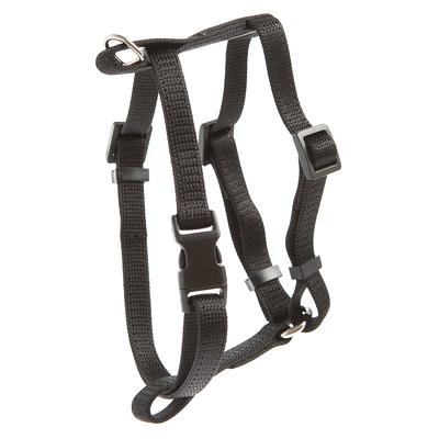 Whisker city comfort discount cat harness instructions