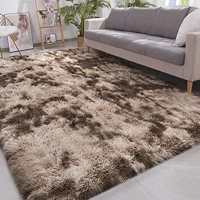 ISEAU Black Rug Carpets Soft Shaggy 4x6 Feet Rugs for Bedroom Living Room,  Fluff