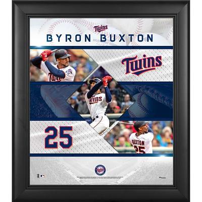 Minnesota Twins 25 Layer StadiumViews 3D Wall Art